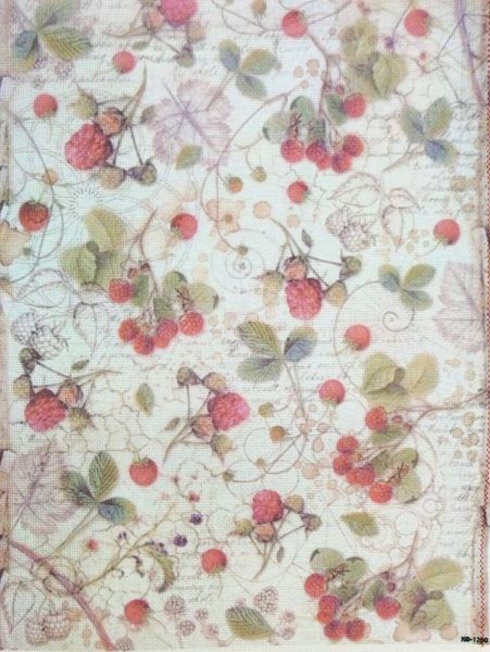 Wild Berry Vine Designer Printed AIDA Fabric. Canvas for embroidery with an applied background KF-1260A